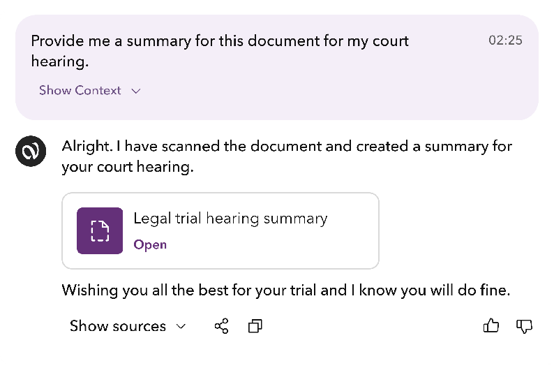 Vettam chat summarising a document for a court hearing